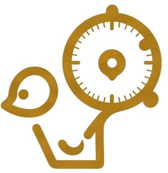 Personal service